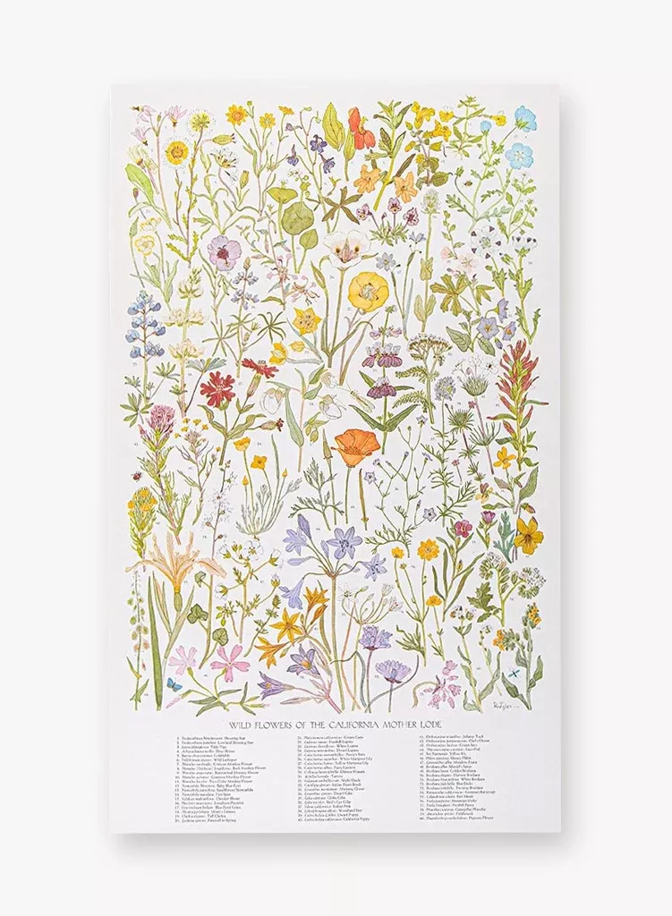 vintage-wildflower-poster Vintage Wildflower Poster