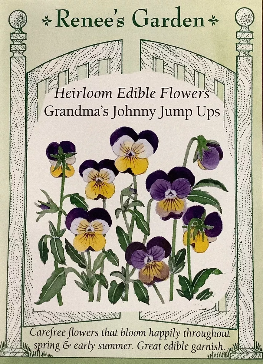 Violas - Grandma’s Johnny Jump Ups