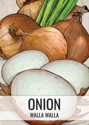 Walla Walla Onion Seeds For Planting (Allium cepa)