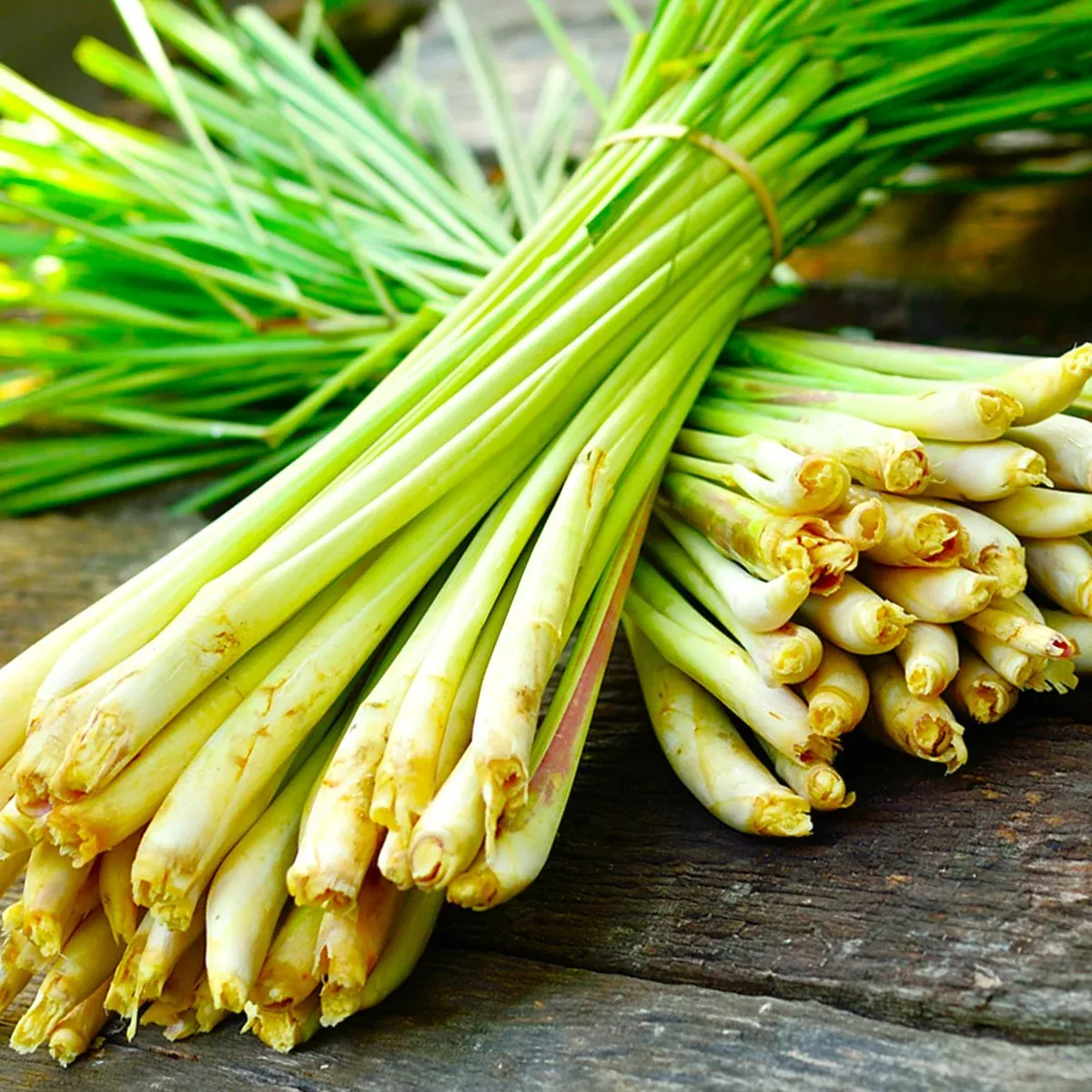 west-indian-lemongrass West Indian Lemongrass
