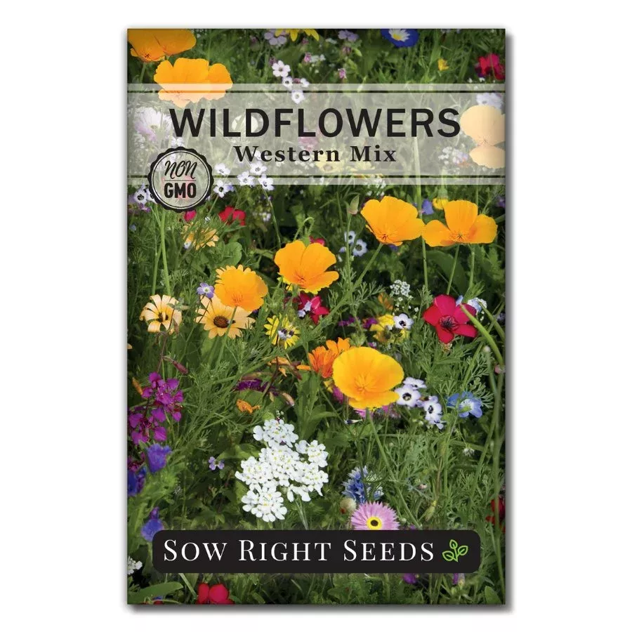 West Wildflowers