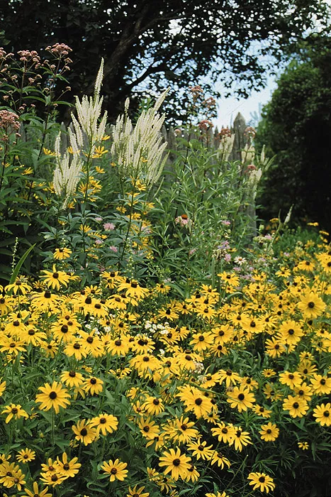 wetland-habitat-mix Wetland Habitat Mix