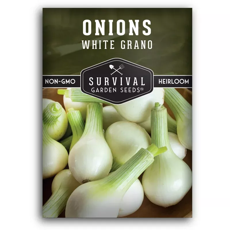 white-grano-onion-seeds-mild-low-pungency-short-day-variety-versatile-white-bulb White Grano Onion Seeds – Mild, Low-Pungency Short-Day Variety for Versatile White Bulbs