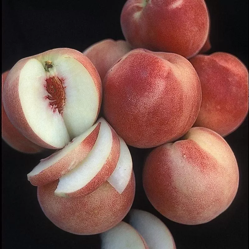 White Lady Peach