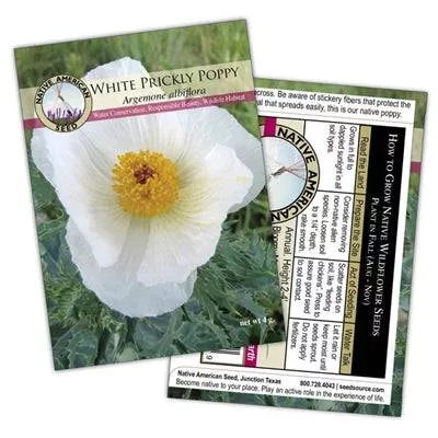 white-prickly-poppy-seed-packet White Prickly Poppy - Seed Packet