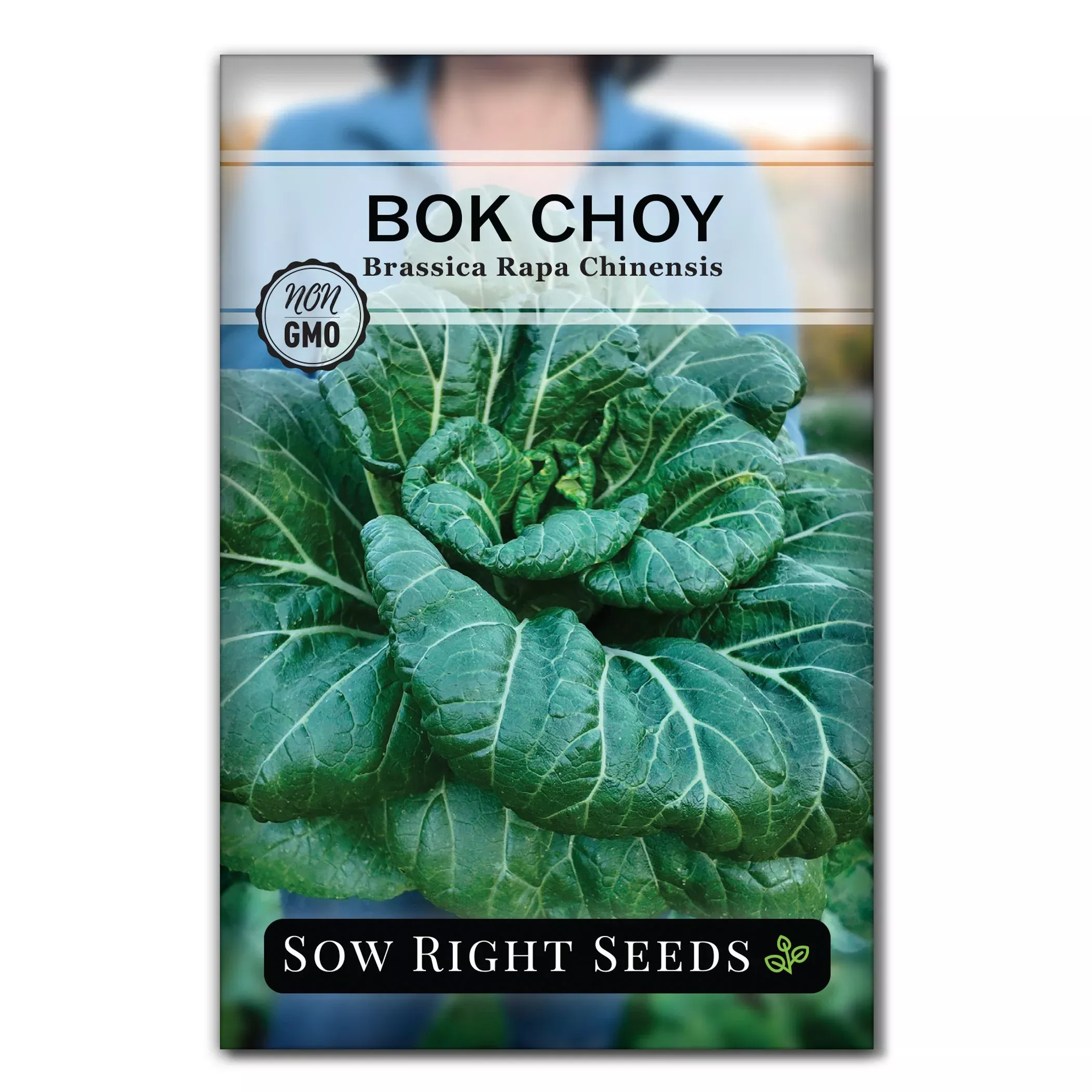 white-stem-bok-choy-pak-choi White Stem Bok Choy (Pak Choi)