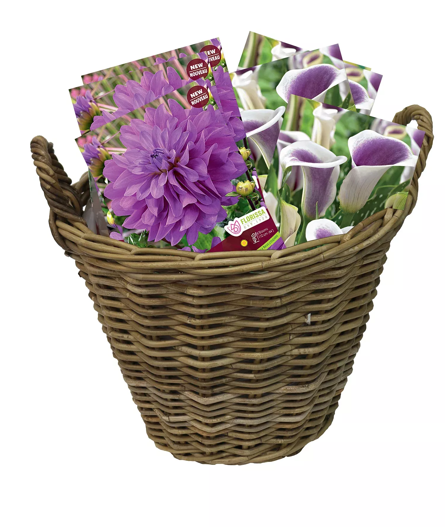Wicker Basket w/ handles