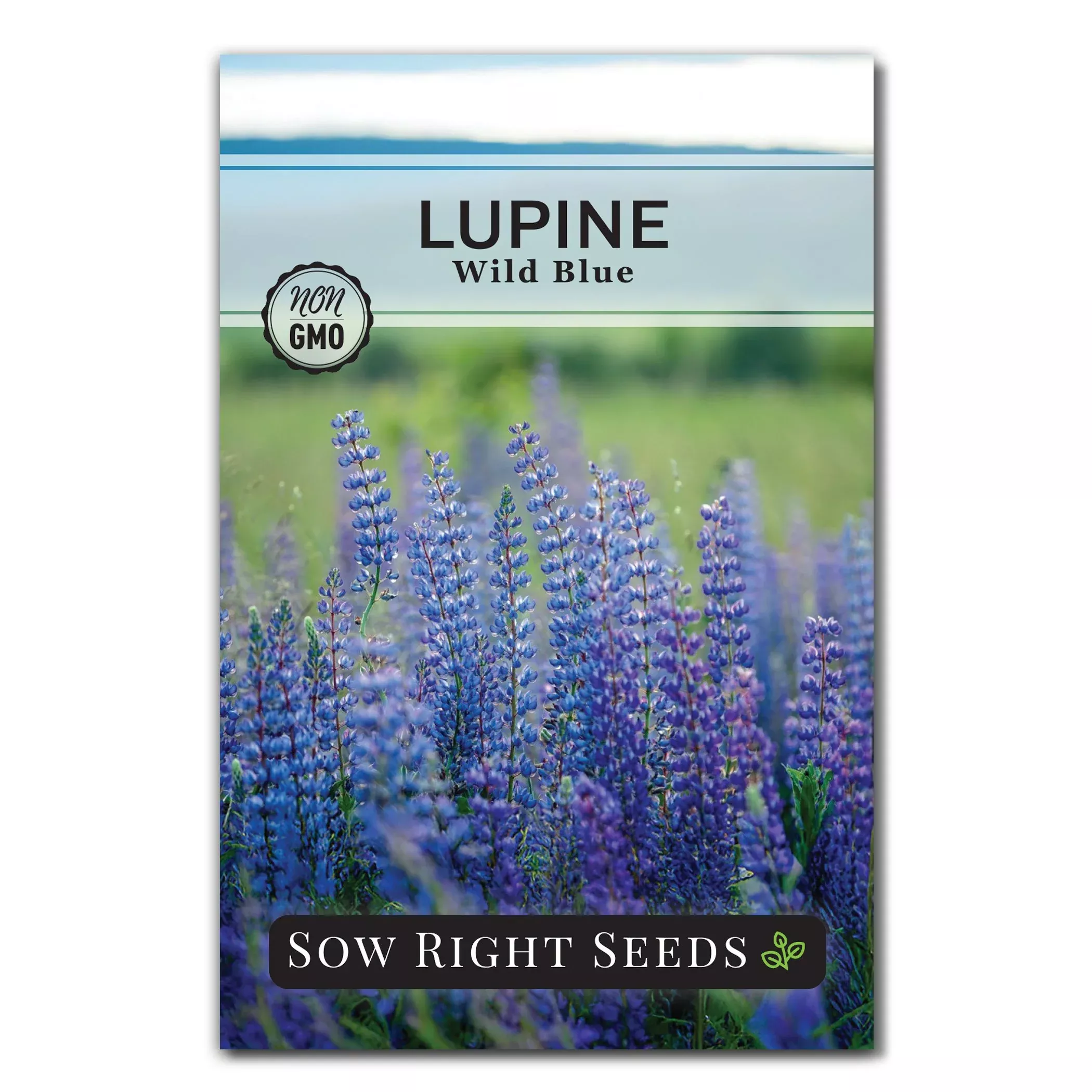 wild-blue-lupine-seeds Wild Blue Lupine Seeds
