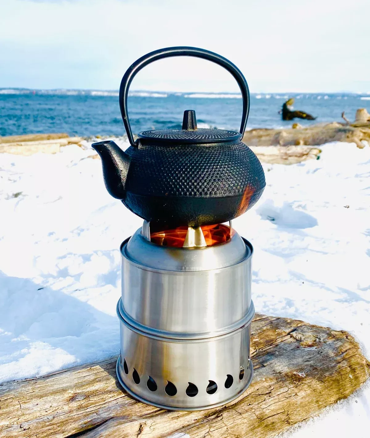 wild-food-foraging-stove Wild Food + Foraging Stove