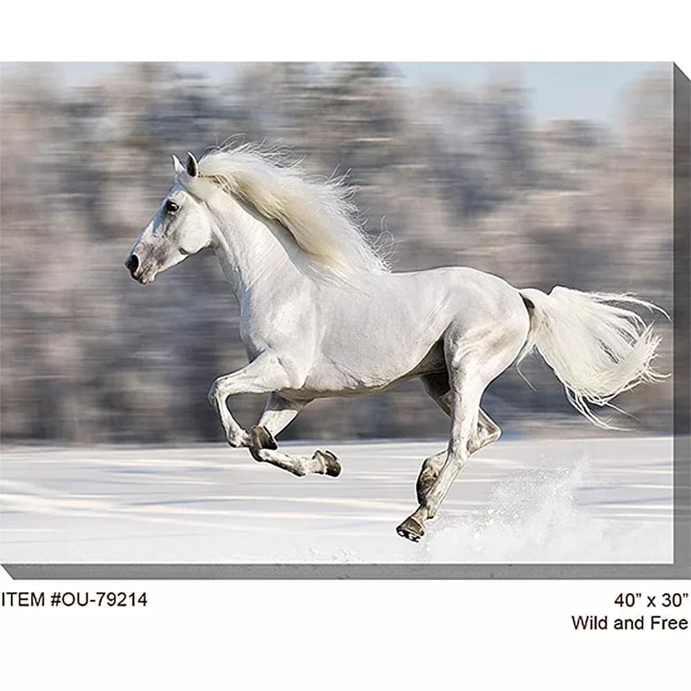 wild-free-outdoor-canvas-art Wild and Free Outdoor Canvas Art