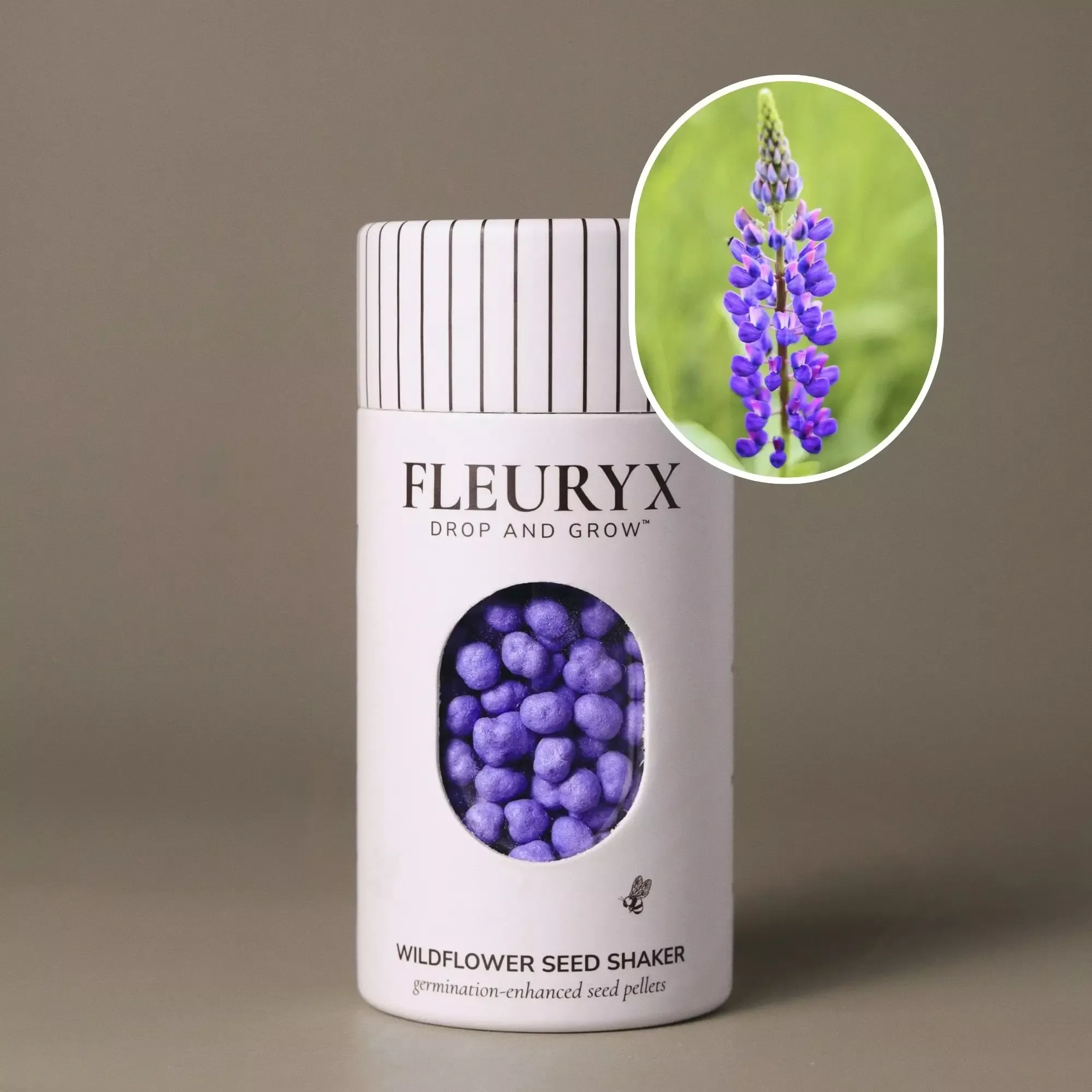 Wild Lupine (Lupinus perennis)