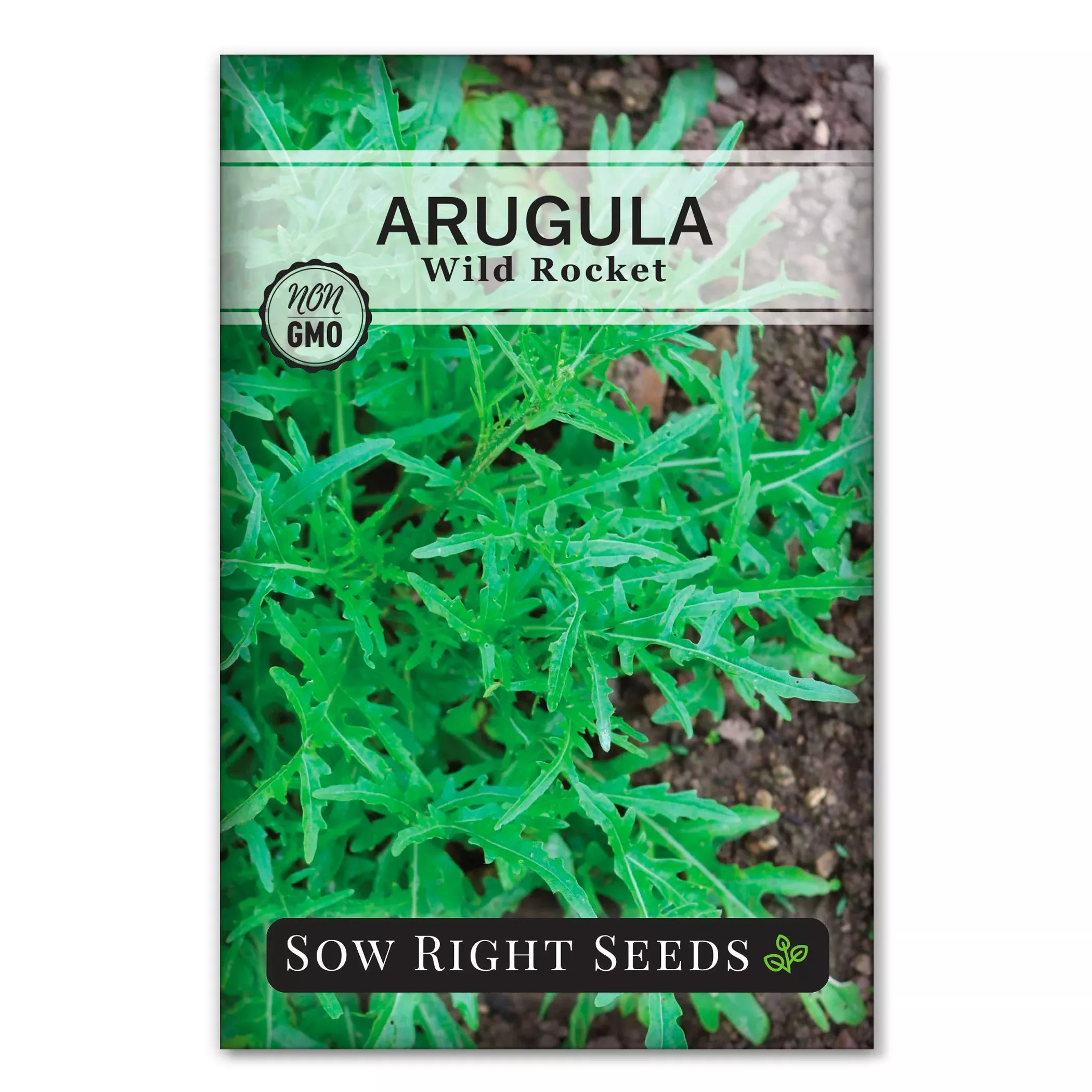 wild-rocket-arugula-seeds Wild Rocket Arugula Seeds