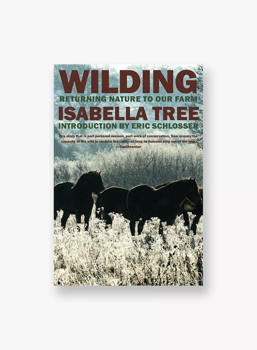 wilding-returning-nature-to-our-farm Wilding: Returning Nature to Our Farm
