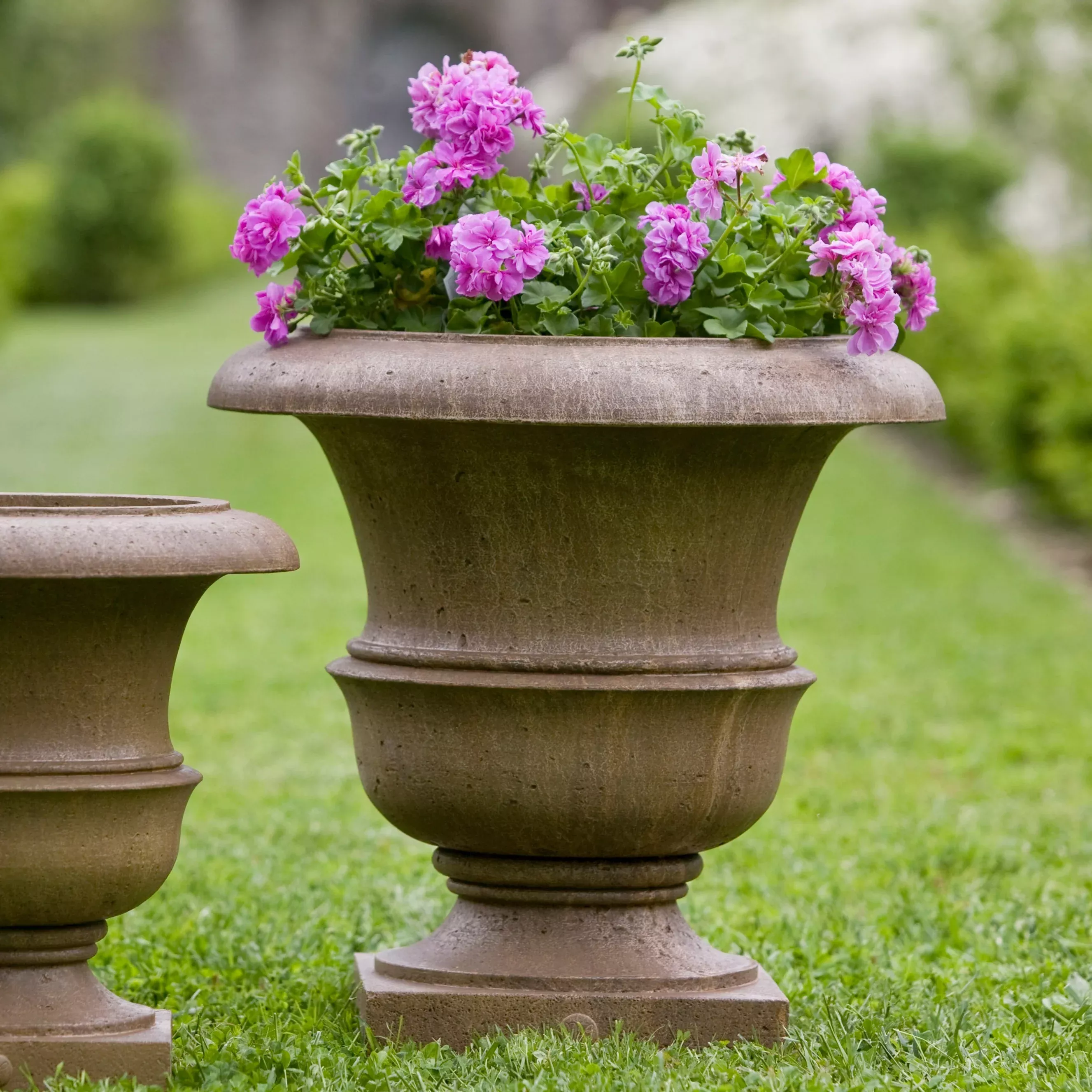 williamsburg-wren-large-planter-by-campania-international Williamsburg Wren Large Planter by Campania International