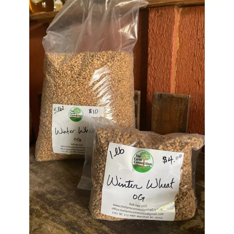 winter-wheat-organic Winter Wheat - Organic