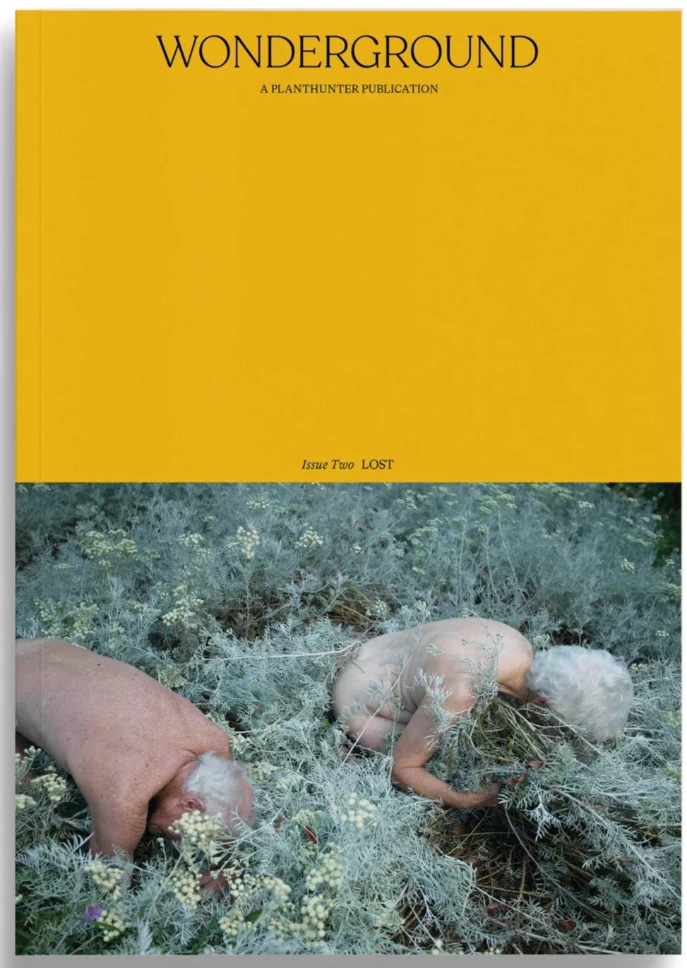 wonderground-issue-two Wonderground Issue Two