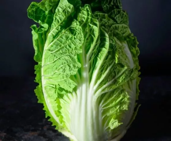 wong-bok-chinese-cabbage Wong Bok Chinese Cabbage