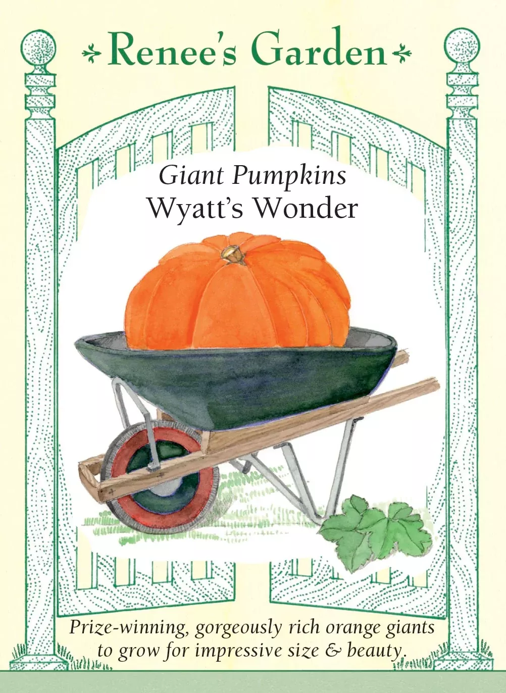 wyatt-s-wonder Wyatt's Wonder