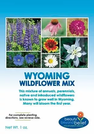 wyoming-wildflower-mix Wyoming Wildflower Mix