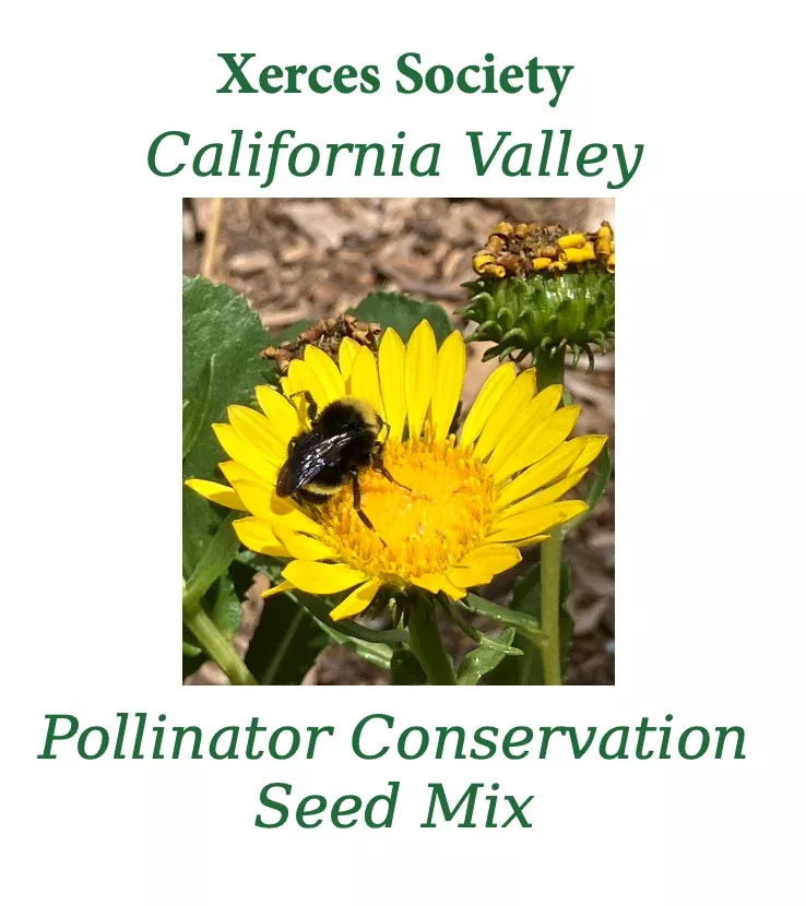 xerces-california-valley-pollinator-conservation-mix Xerces CALIFORNIA VALLEY Pollinator Conservation Mix