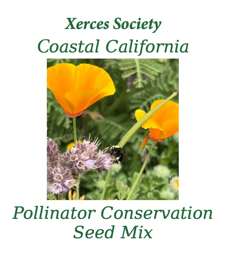 xerces-coastal-california-pollinator-conservation-mix Xerces COASTAL CALIFORNIA Pollinator Conservation Mix