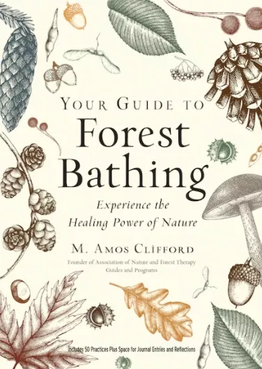 your-guide-to-forest-bathing-book Your Guide to Forest Bathing Book