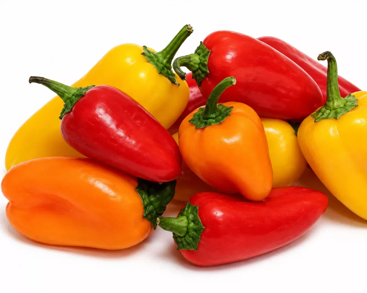 yum-yum-hybrid-mix-pepper-seeds-treated Yum-Yum Hybrid Mix Pepper Seeds (Treated)