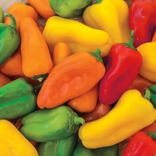 yum-yum-mix-pepper-seeds Yum Yum Mix Pepper Seeds