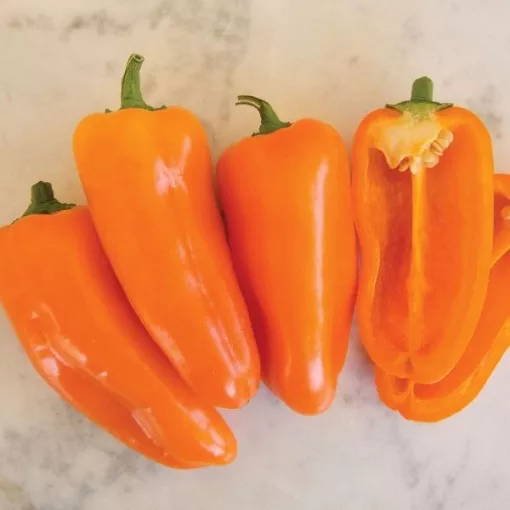 yummy-orange-pepper-seeds Yummy Orange Pepper Seeds
