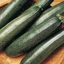 zuchini Zuchini